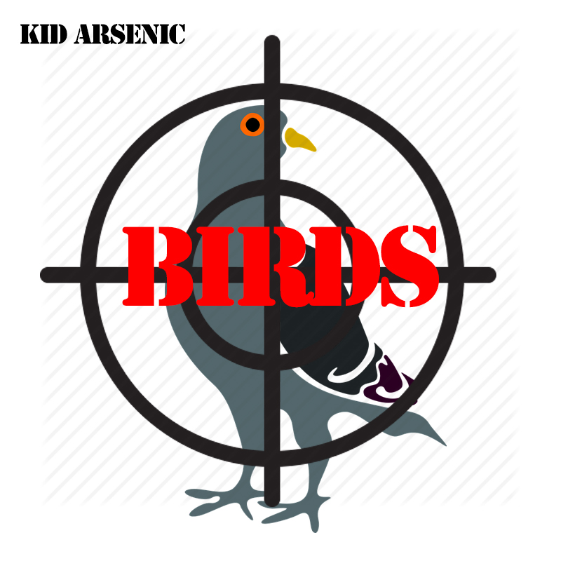 KidArsenic_Birds_CoverArt