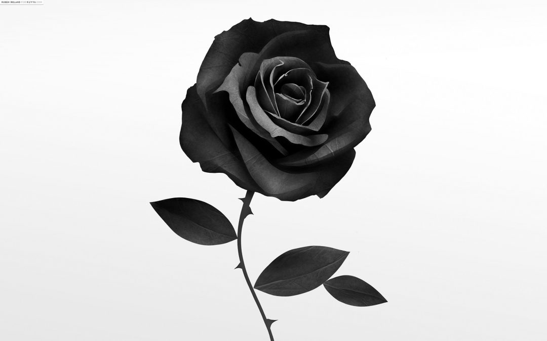 black-rose art